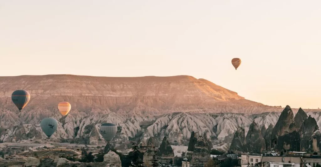 Downloaded Image18f85f55e216