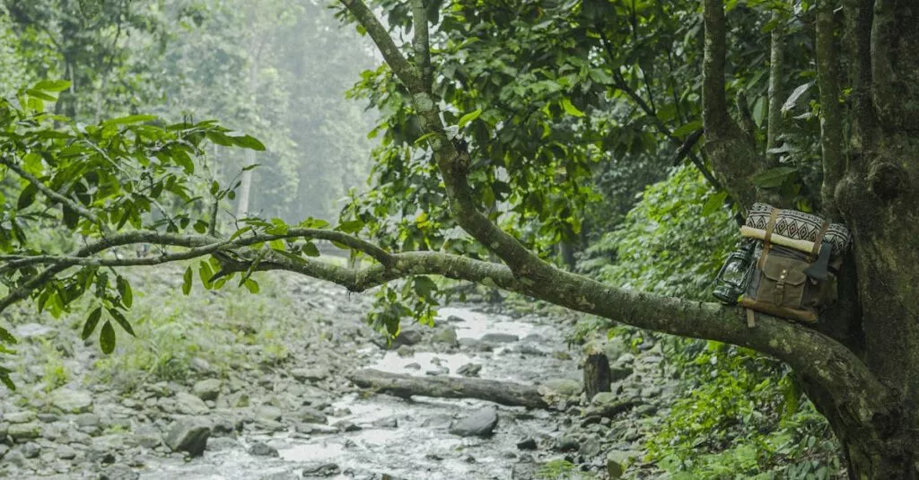 Downloaded Image1fac1eaa6e5a