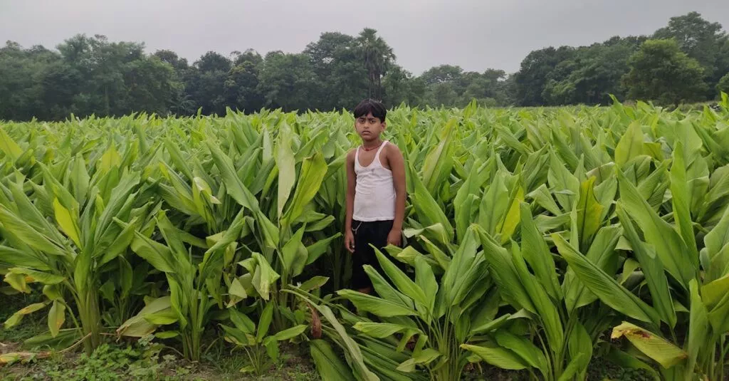 Downloaded Image1fac680dd013