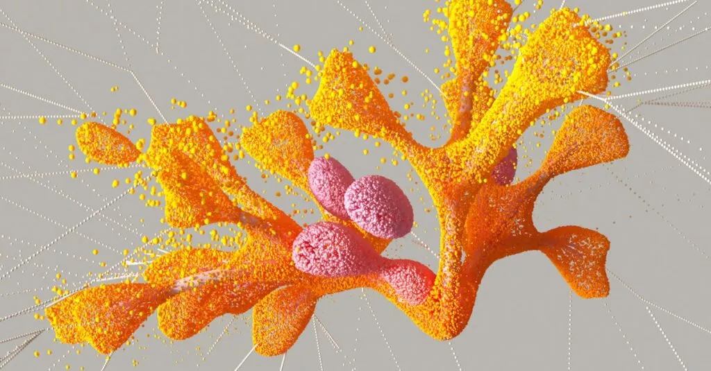 Downloaded Image2e7e40b9566c