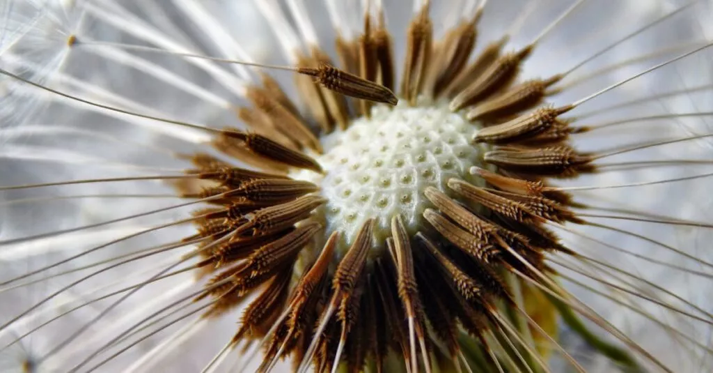 Downloaded Image2fe967234519