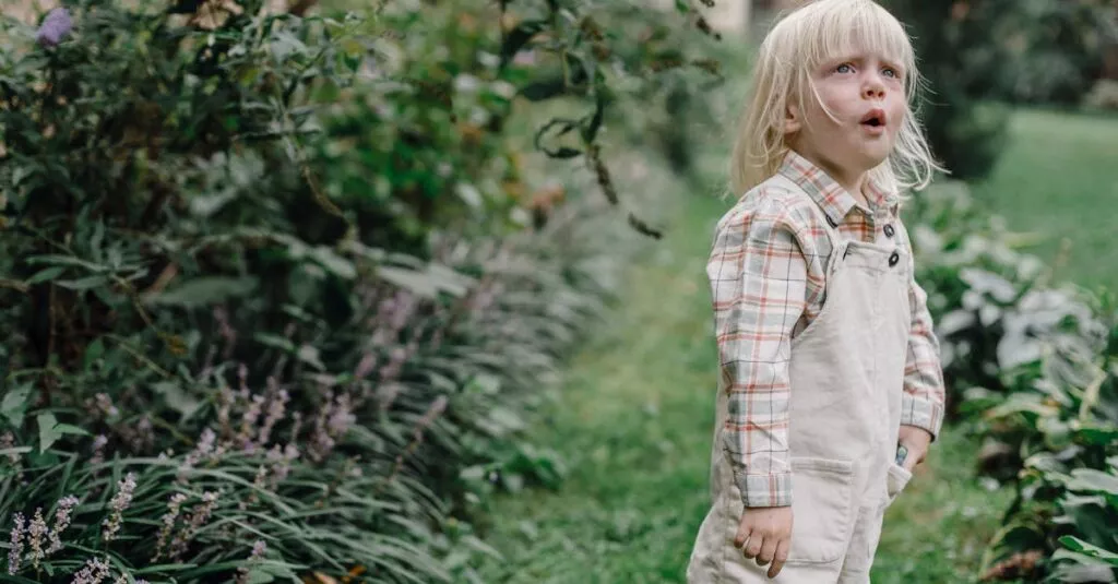 Downloaded Image322b2255ff8