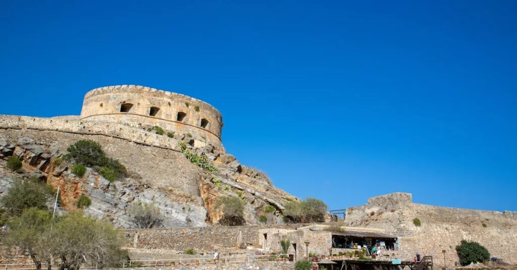 Downloaded Image348f24ca6a4d