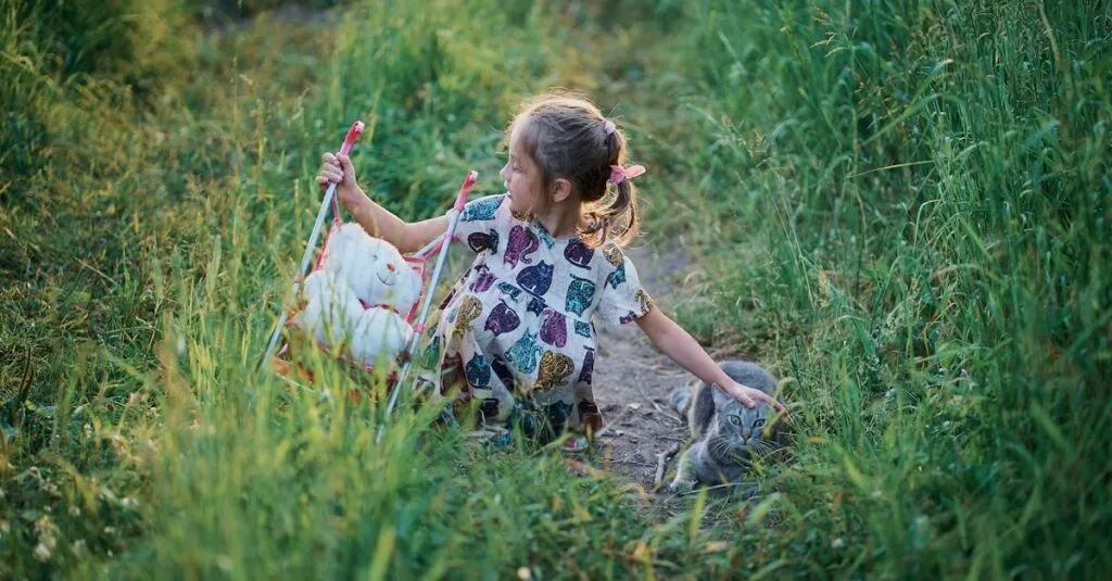 Downloaded Image48fd6a1b5531