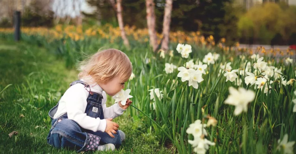 Downloaded Image4be02eaf828