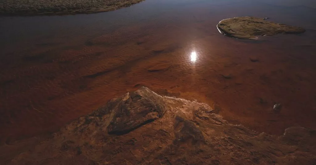 Downloaded Image4be040656fc2