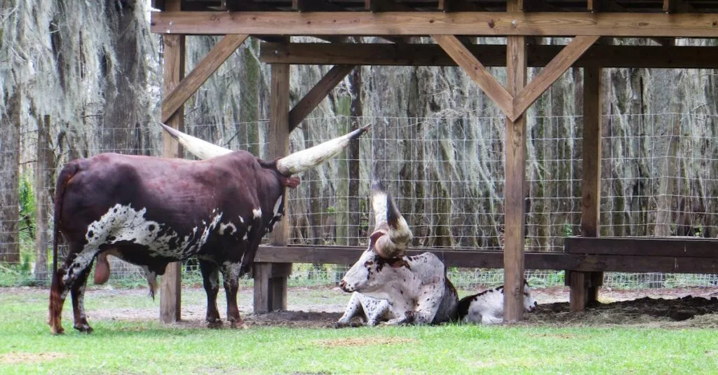 Downloaded Image4be065b7a950