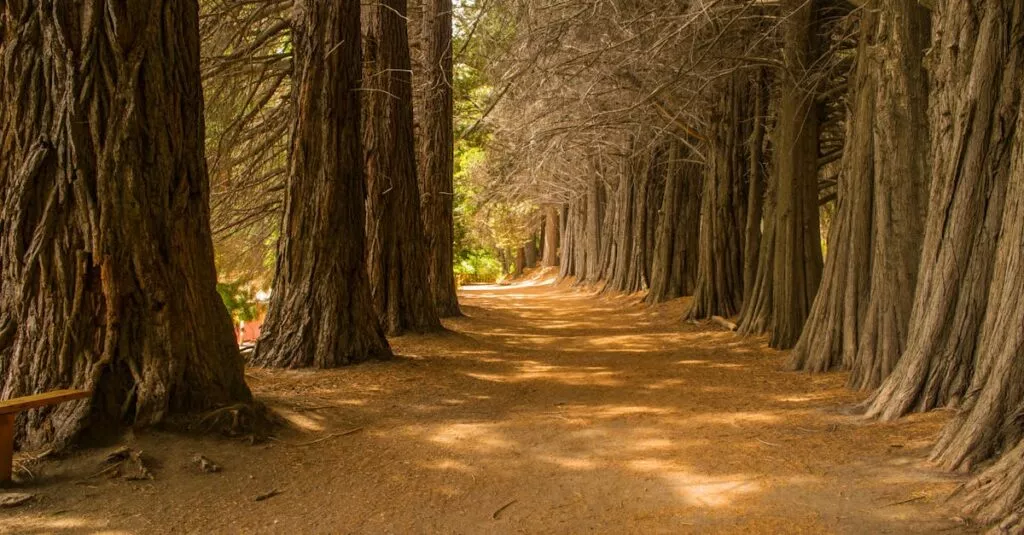 Downloaded Image4be06e3a38e8