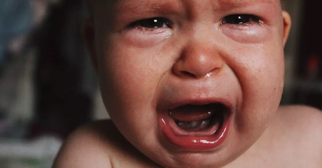 Downloaded Image4e36efd9763