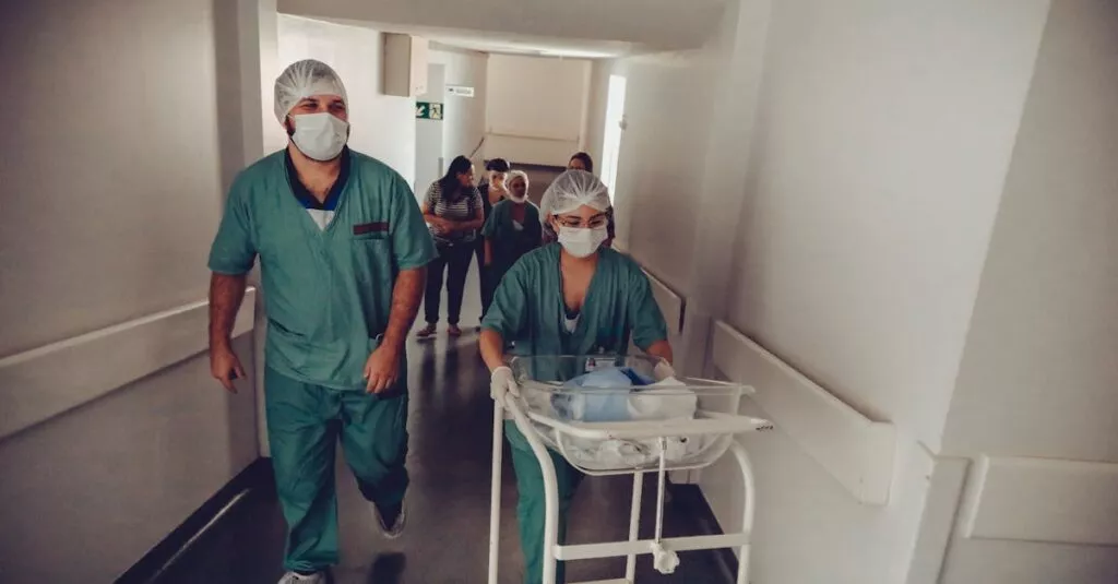 Downloaded Image50ec772cb82a