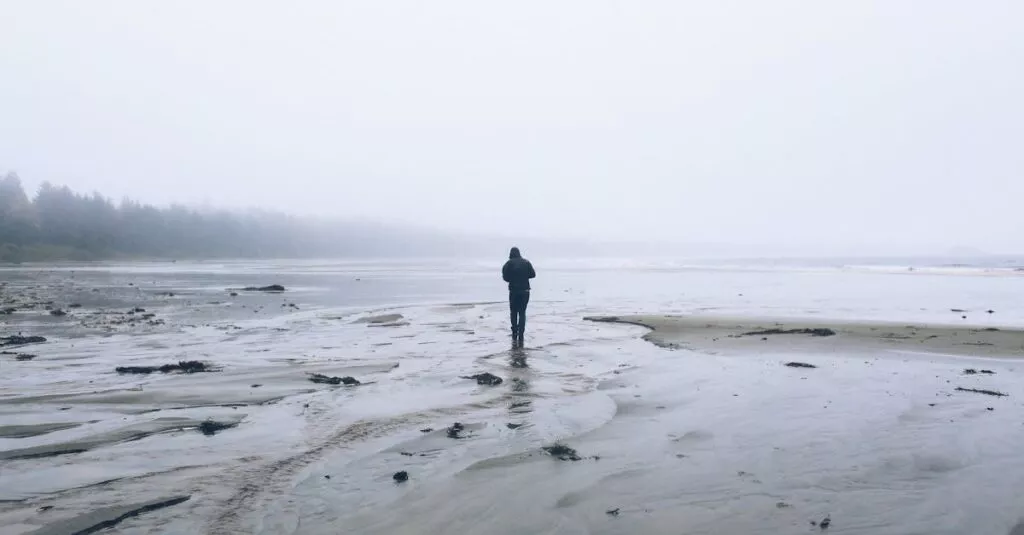 Downloaded Image6356570fc255