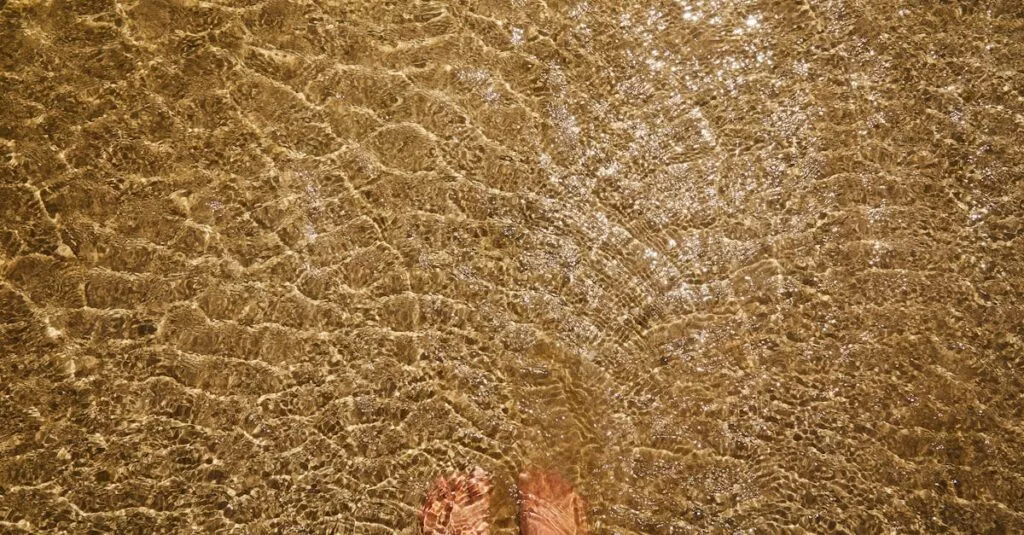 Downloaded Image6b483c70486f