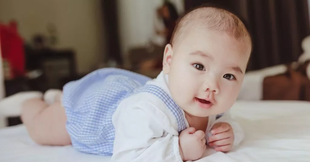 Downloaded Image6b48fcc484c