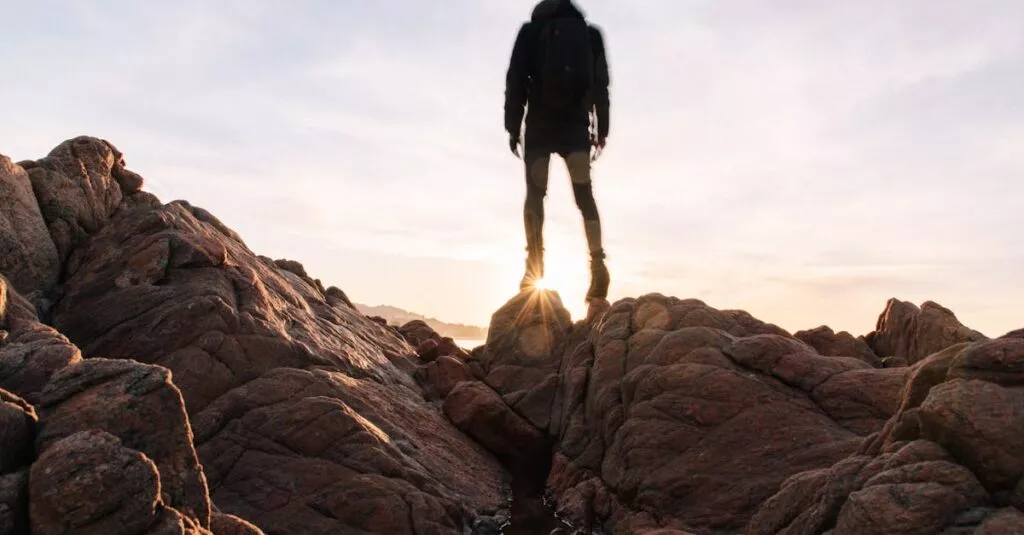 Downloaded Image7a051348aed7