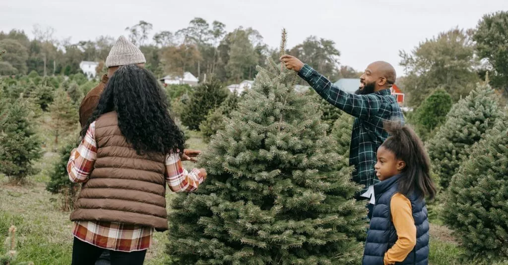 Downloaded Image7a05332b702f