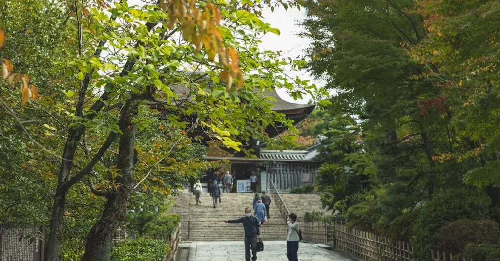 Downloaded Image7a0558958585