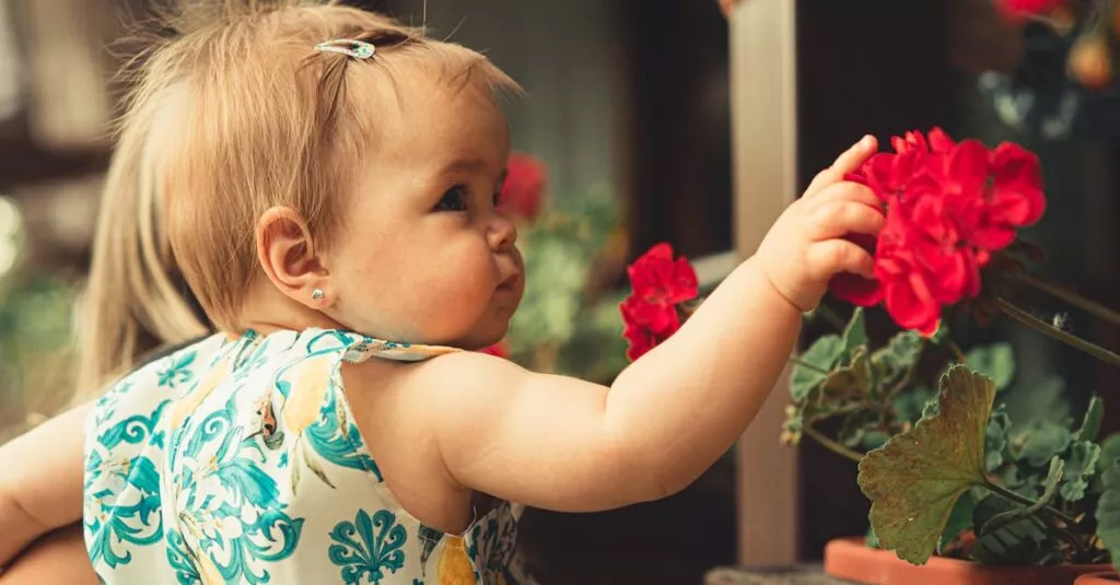 Downloaded Imagea544dc4c29a