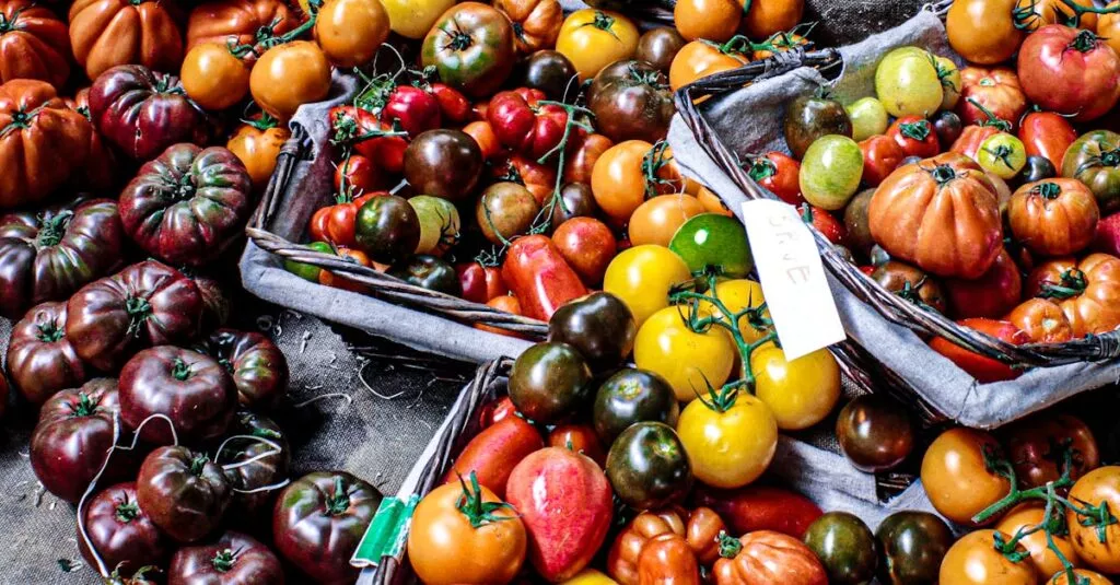 Downloaded Image1c9553d4cf0b