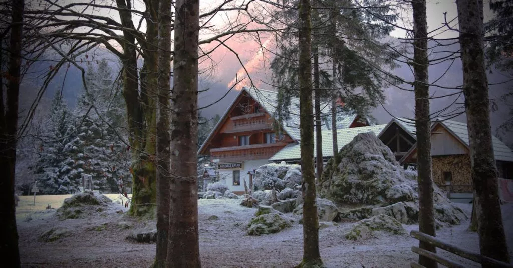 Downloaded Image1e2764bb307