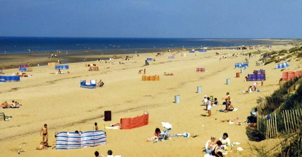 Downloaded Image237696eba1b