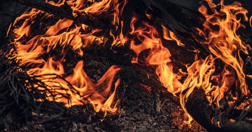 Downloaded Image2a0a29c9489e