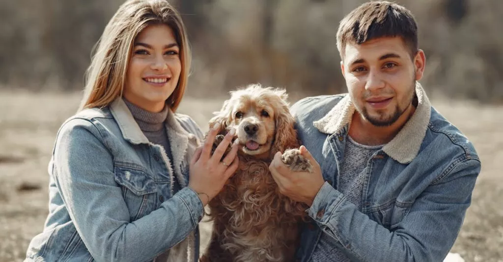 Downloaded Image311a419e41e0