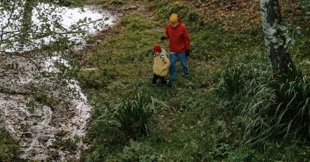 Downloaded Image311a72a2718f