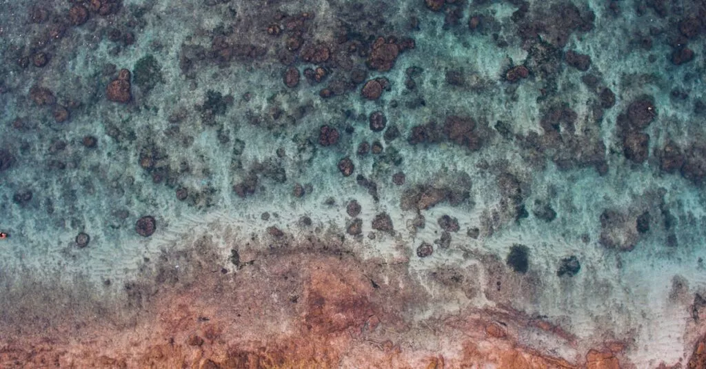 Downloaded Image311a7dc1c0a4