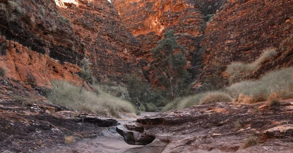 Downloaded Image38ae74a5653