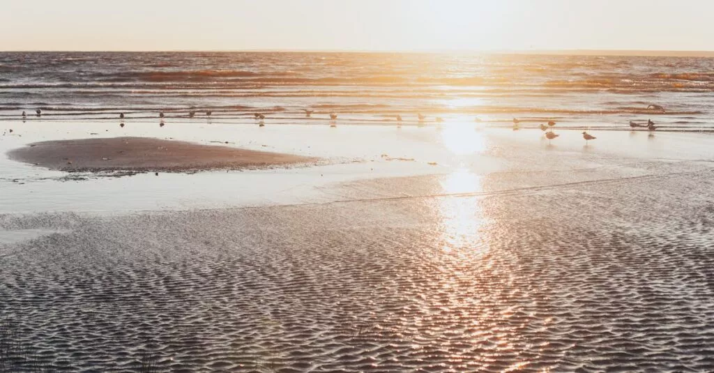 Downloaded Image3b2349cafa6e