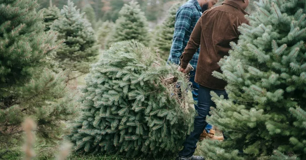 Downloaded Image44fb768623de