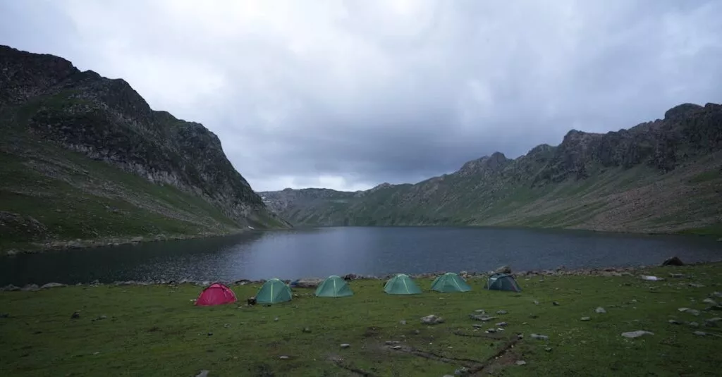 Downloaded Image44fb79d5b0cf