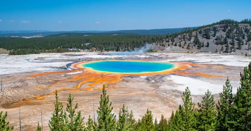 Downloaded Image510560ff9f5c