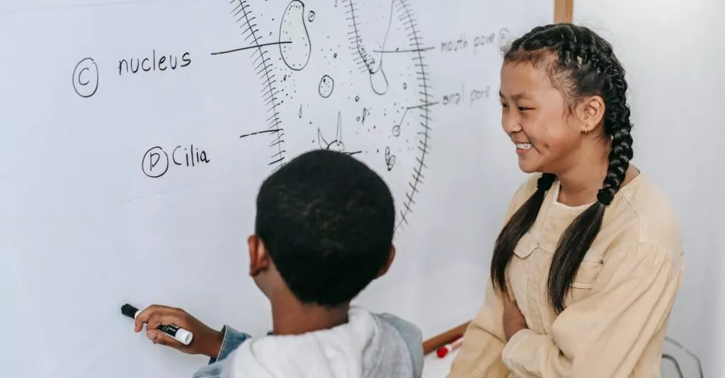 Downloaded Image5ed02da42578