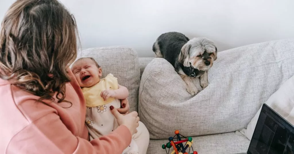 Downloaded Image62b32a185354