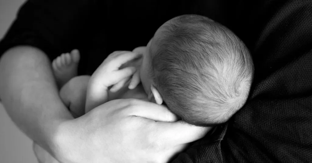 Downloaded Image62b35097f4c0