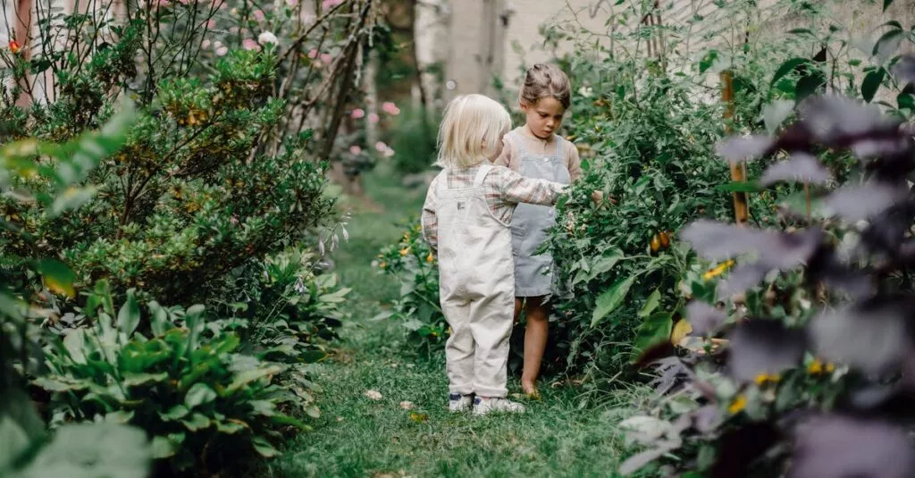 Downloaded Image633460085410