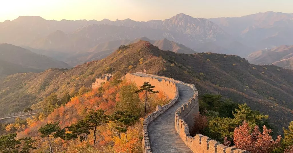 Downloaded Image6bed29d478ff