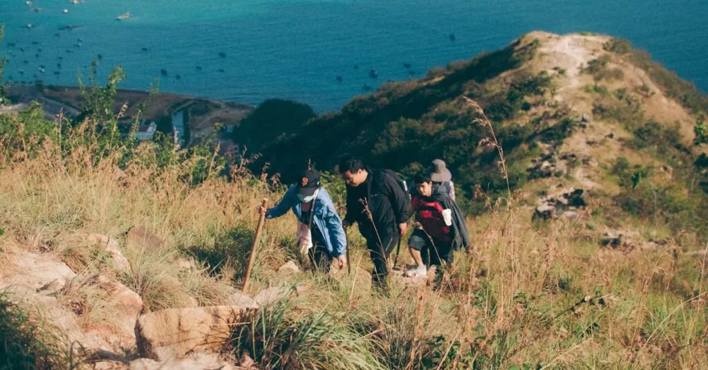 Downloaded Image6bed3777af1d