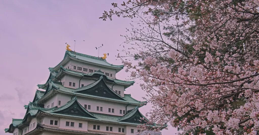 Downloaded Image6bed7063d359