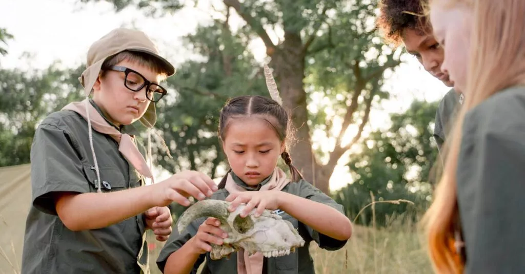 Downloaded Image6e6b3773cdb