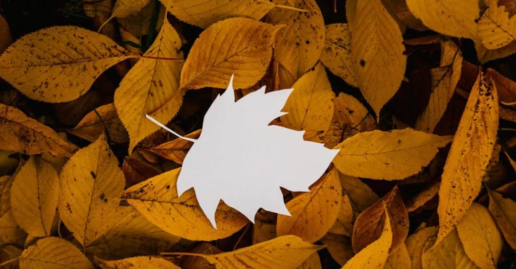 Downloaded Image75337c351f16