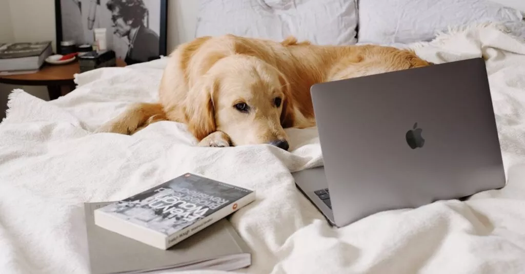 Downloaded Image760d1db0a38f