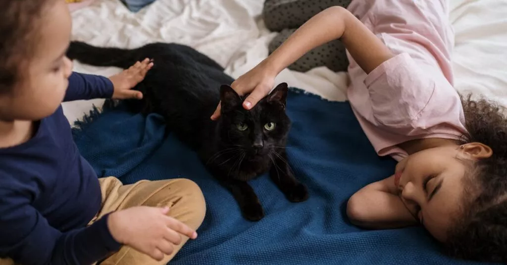 Downloaded Image760d74f0e176