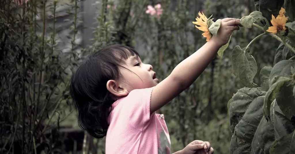 Downloaded Image7a5646d0d7f7