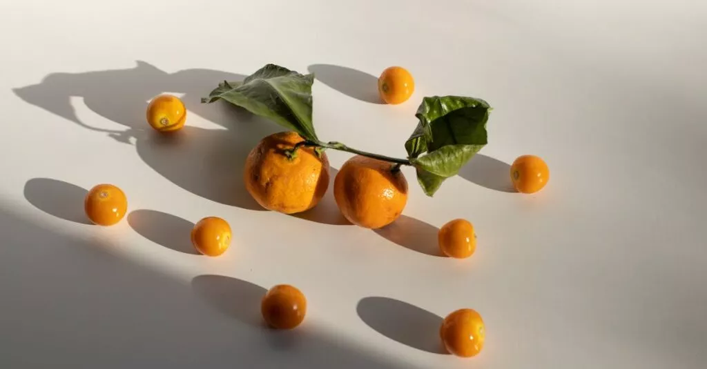 Downloaded Image7dee3502fdbd