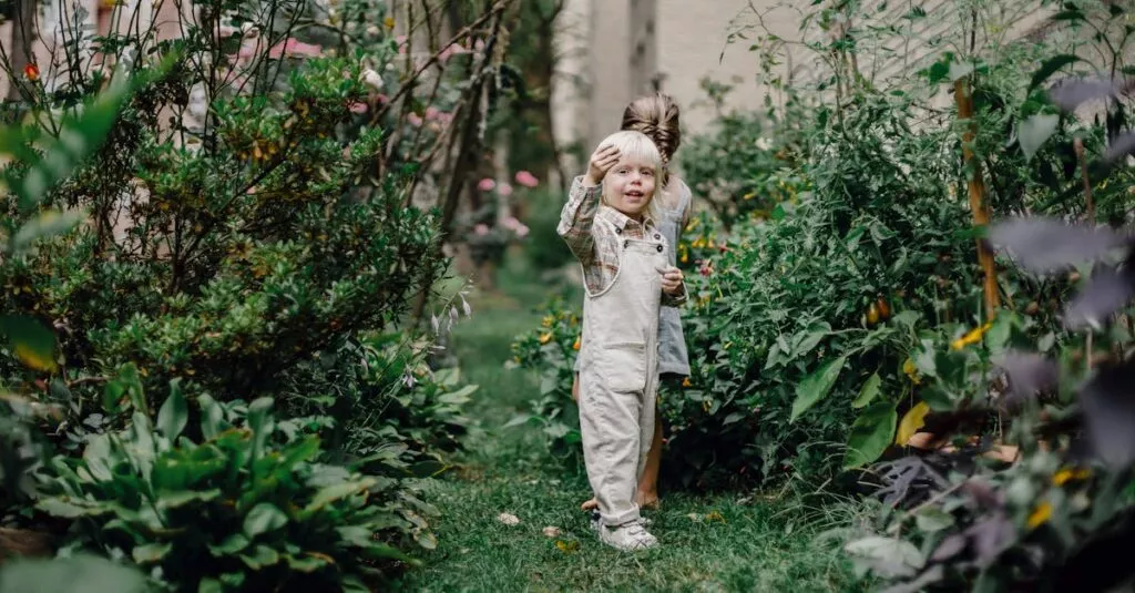 Downloaded Image10291d6ef902