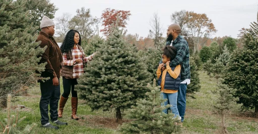 Downloaded Image10633be028d