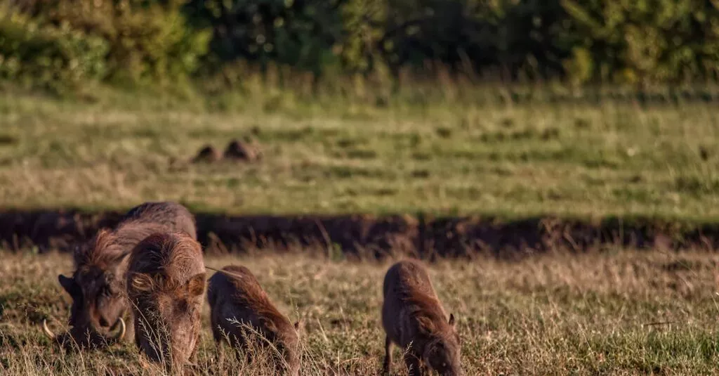 Downloaded Image1406d54094b