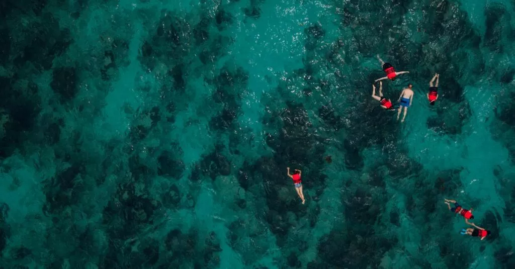 Downloaded Image14090fd6e7